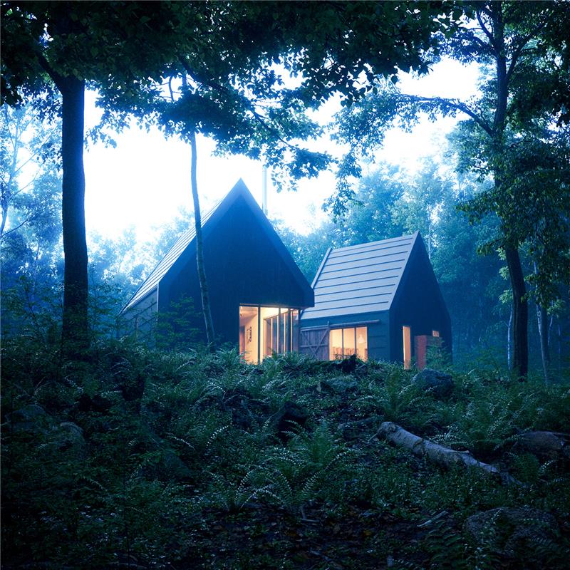 Geyikbayırı Forest House Project