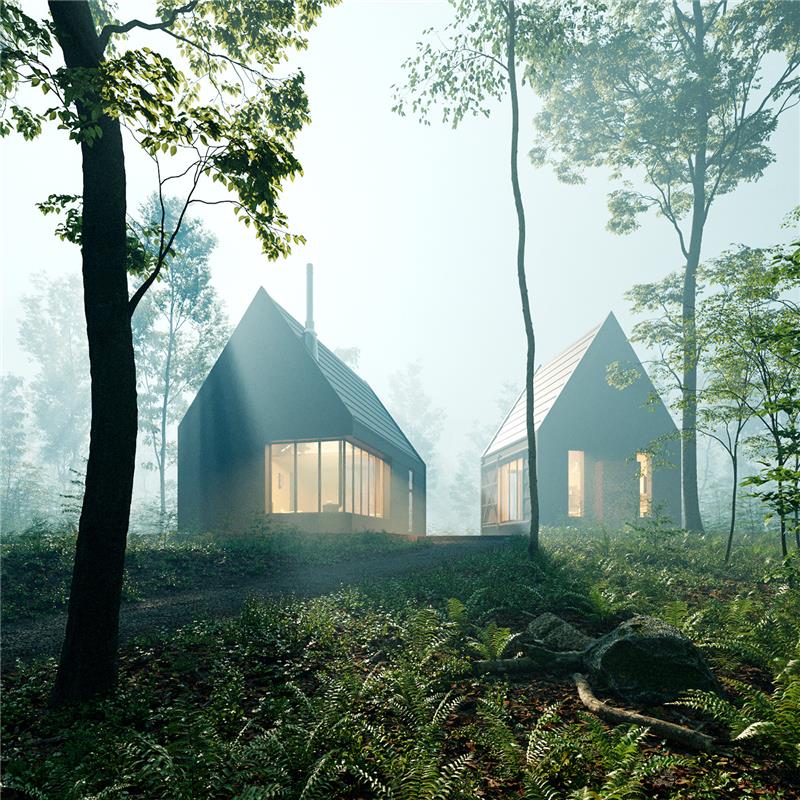 Geyikbayırı Forest House Project