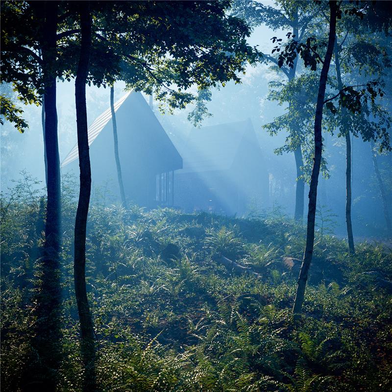 Geyikbayırı Forest House Project